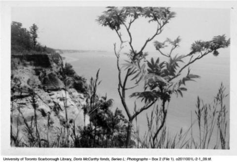 Photograph of unknown location (cliffs, trees, & water)