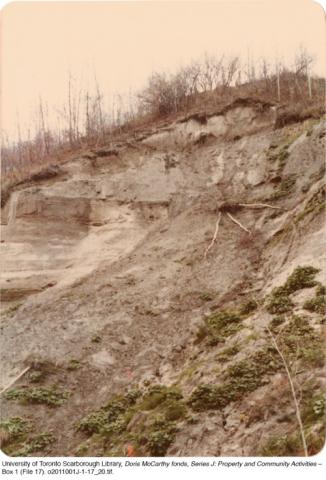 Scarborough Bluffs at Bellamy Ravine